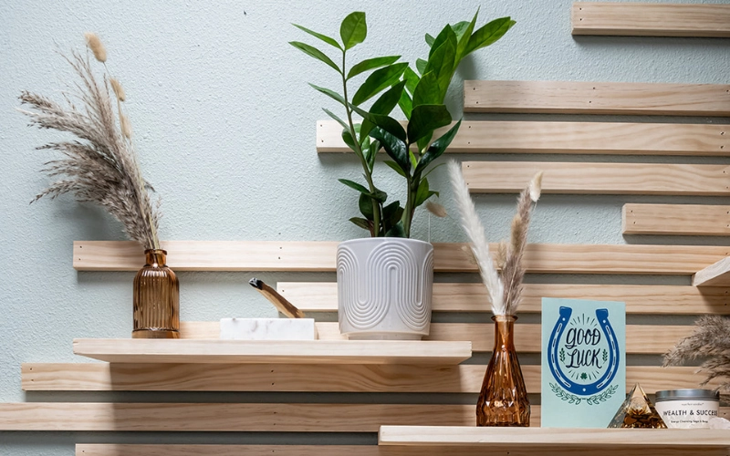 Wooden display shelves at Glow Hot Yoga Sarasota with ZZ plant, pampas grass, and a Good Luck card